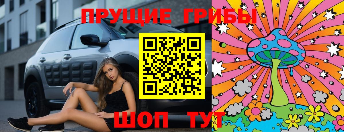 Псилоцибиновые грибы мухоморы Петропавловск-Камчатский