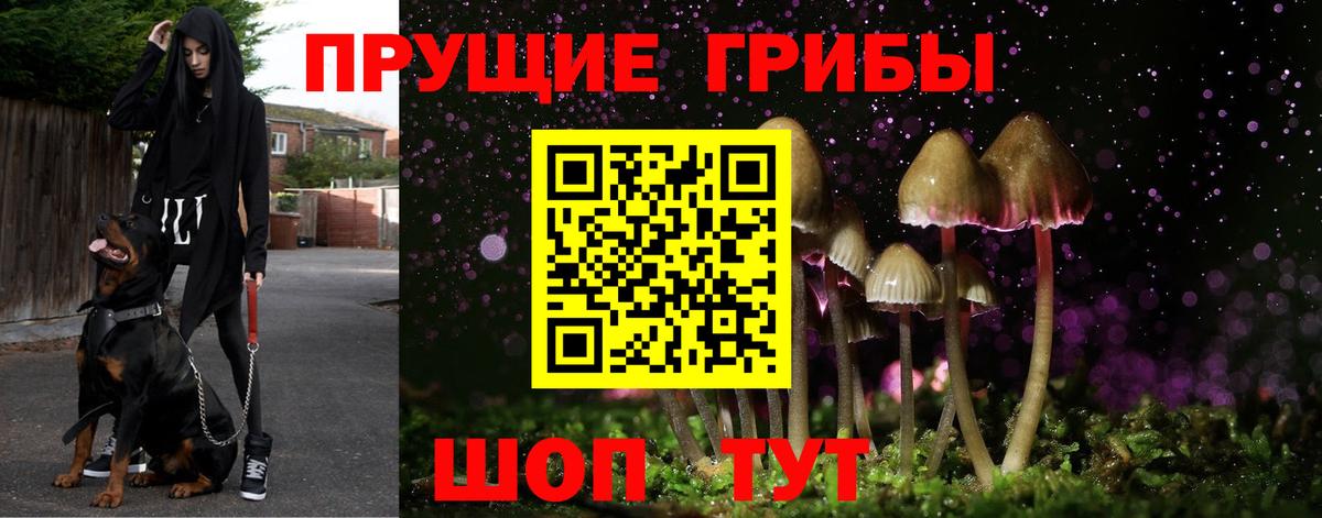 Псилоцибиновые грибы мухоморы  Галлюциногенные грибы Magic Shrooms  Вход с VPN  Петропавловск-Камчатский 